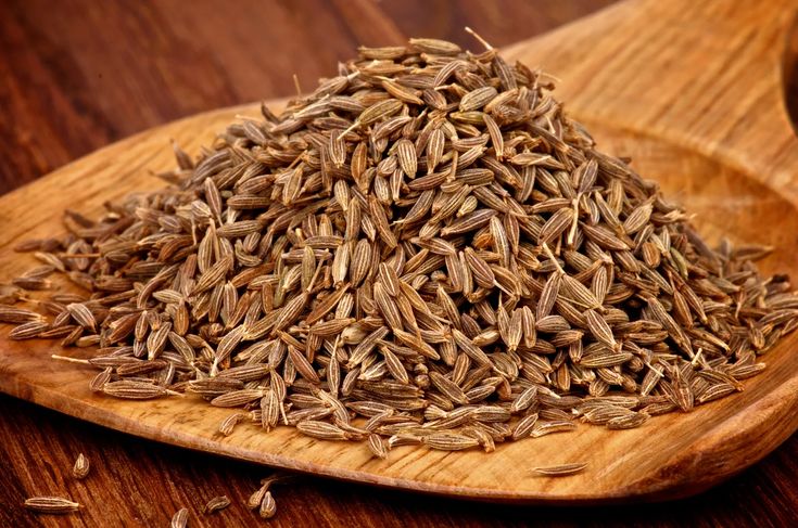 Cumin Seeds Exporters India
