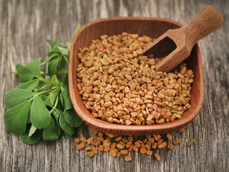 Fenugreek Seeds Exporter India